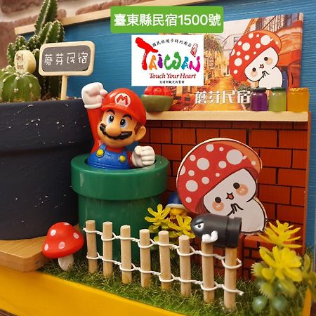 Moya Homestay Taitung المظهر الخارجي الصورة